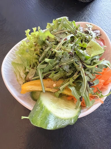 NOA Rheinterrassen Kajüte Bonn photo 5